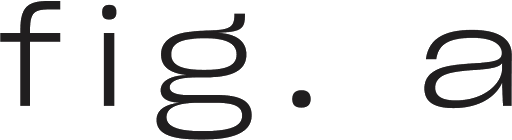 fig. a - Visual