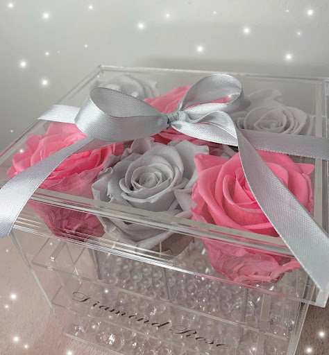 Diamond Rose - Visual