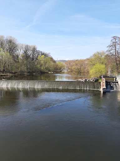 Jena Paradies | Volkspark Oberaue - Thumbnail
