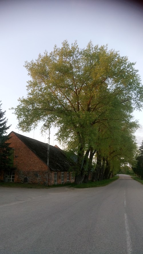 Ambraziškių Manor