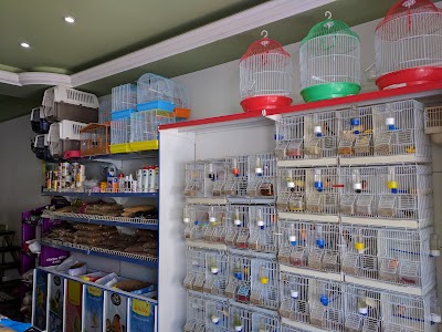 Pet Shop Korça