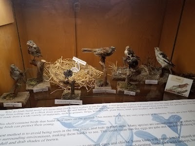 Photos of Mount Holyoke Range State Park
