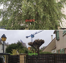 Photo n°3 de RB-espace-vert à Montreuil (Paysagiste)