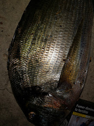 Photo n°37 de Pêche for life à Marseille (Magasin de pêche)