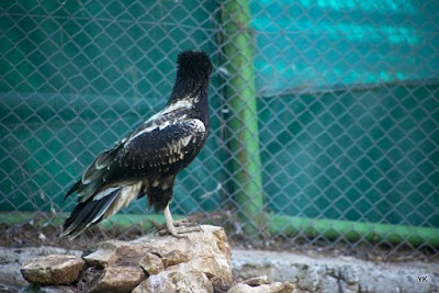 Gölpinar Nature Park