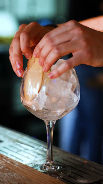 Mossel & Gin by null