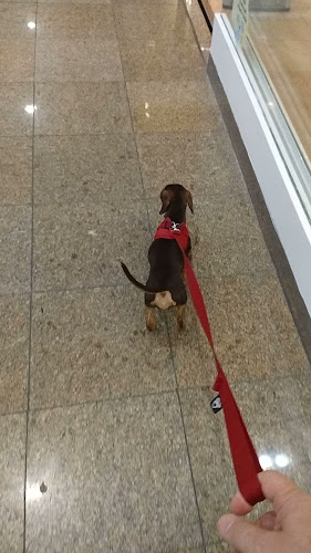 http://www.ucicinemas.com.br/cinemas/UCI-Kinoplex-Plaza-Casa-Forte-Shopping