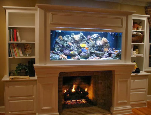 Tropical Reef Aquarium Maintenance Gallery - United States