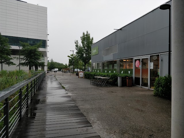 SOGOOD LOOS EURASANTE