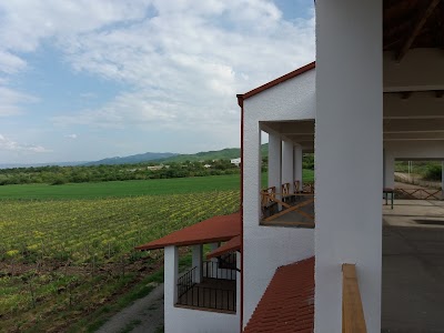 Photos of Pheasant Tears WINERY