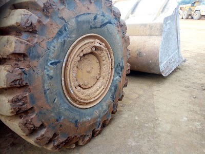Photos of Omo Forestry Reserve