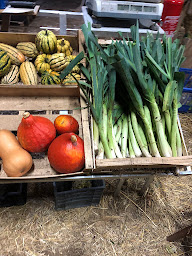 Photo n°4 de A Vatimont, On sème à Vatimont (Ferme bio)