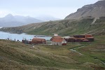 Фотография Китобойная станция Гритвикен, Южные Сандвичевы Острова