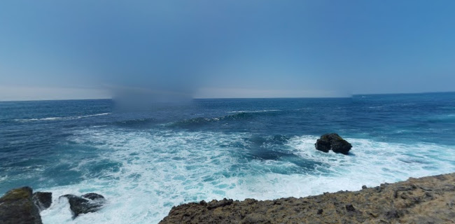 Salinas