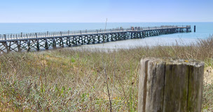 Photo n°18 de Camping le Tropicana à Saint-Jean-de-Monts (Piscine)