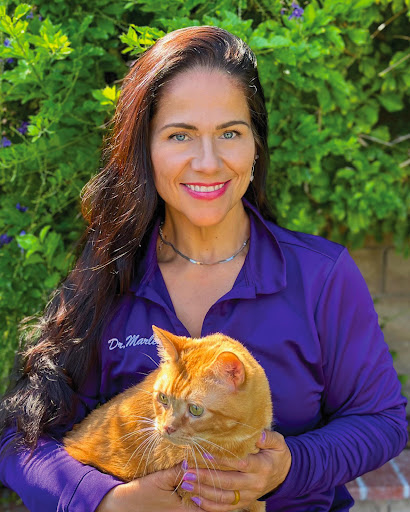 CodaPet - At Home Pet Euthanasia of Santa Clarita - Thumbnail