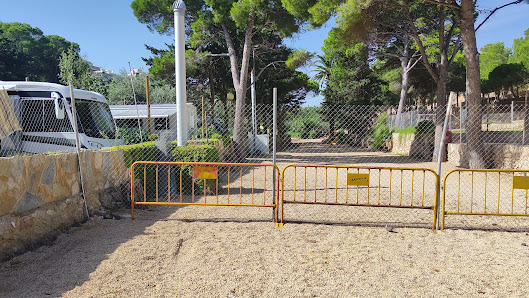 Imagen de la galería