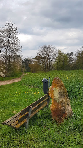 Nonnenstein - Visual
