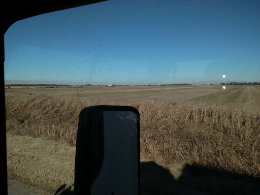 Rick's Auto Country - Thumbnail