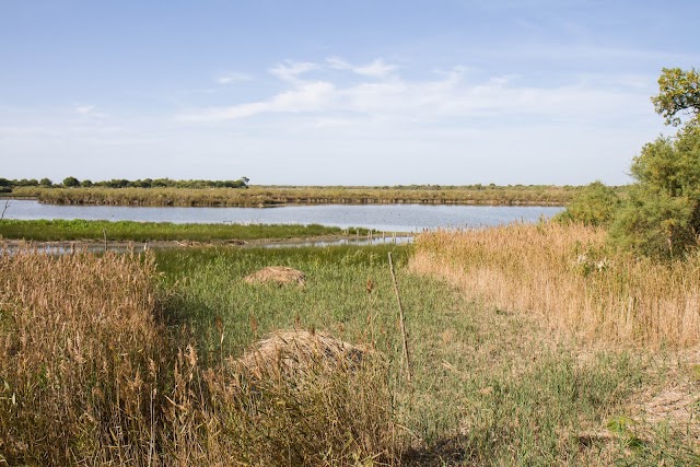 Réserve Ornithologique du Teich