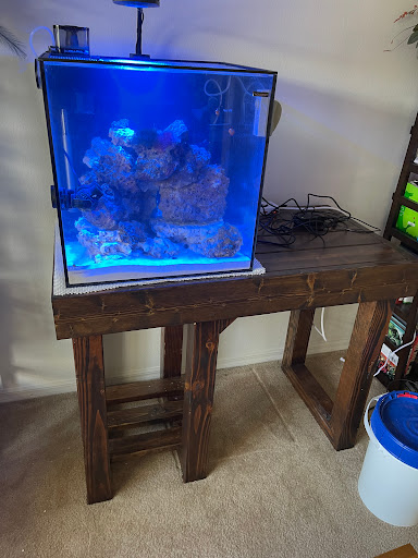 The Fish Store / Custom Aquariums - Thumbnail