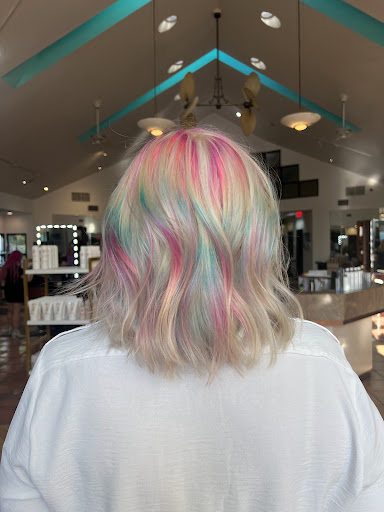 Zee's Salon - Visual