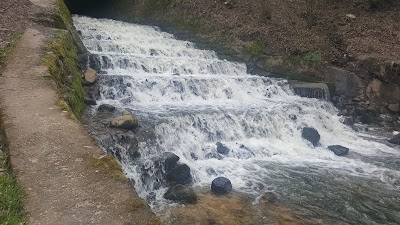 Photos of Dansida