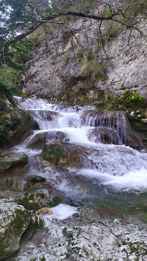 Poza Río Purón - Thumbnail