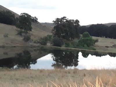 Photos of Lake Heron