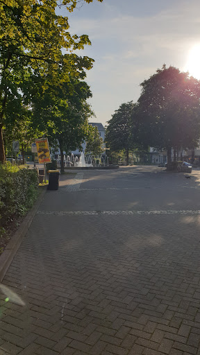 Baumkreis - Thumbnail