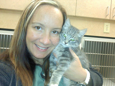 Photo of Animal Medical Center of Deer Valley Gato