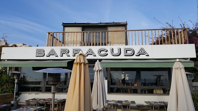 Barracuda