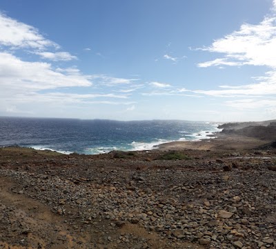 Photos of Chabad Aruba