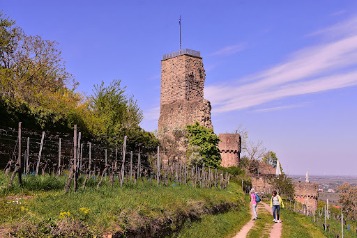Tourist-Information Wachenheim - Thumbnail
