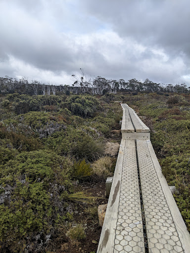 Moorland Mosiac