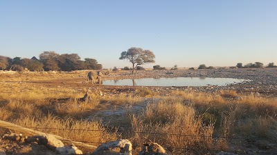 Photos of Etosha National Park