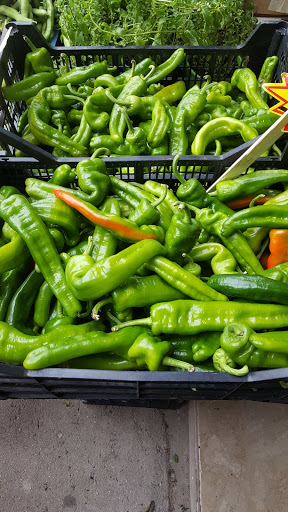 SUPERMERCATO DIMA - Visual