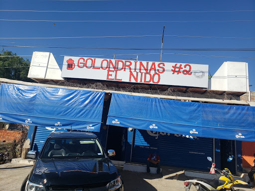 Golondrinas 2 EL NIDO
