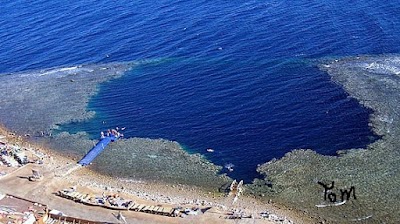 Photos of Sharm Tours Gena&Cheporashka