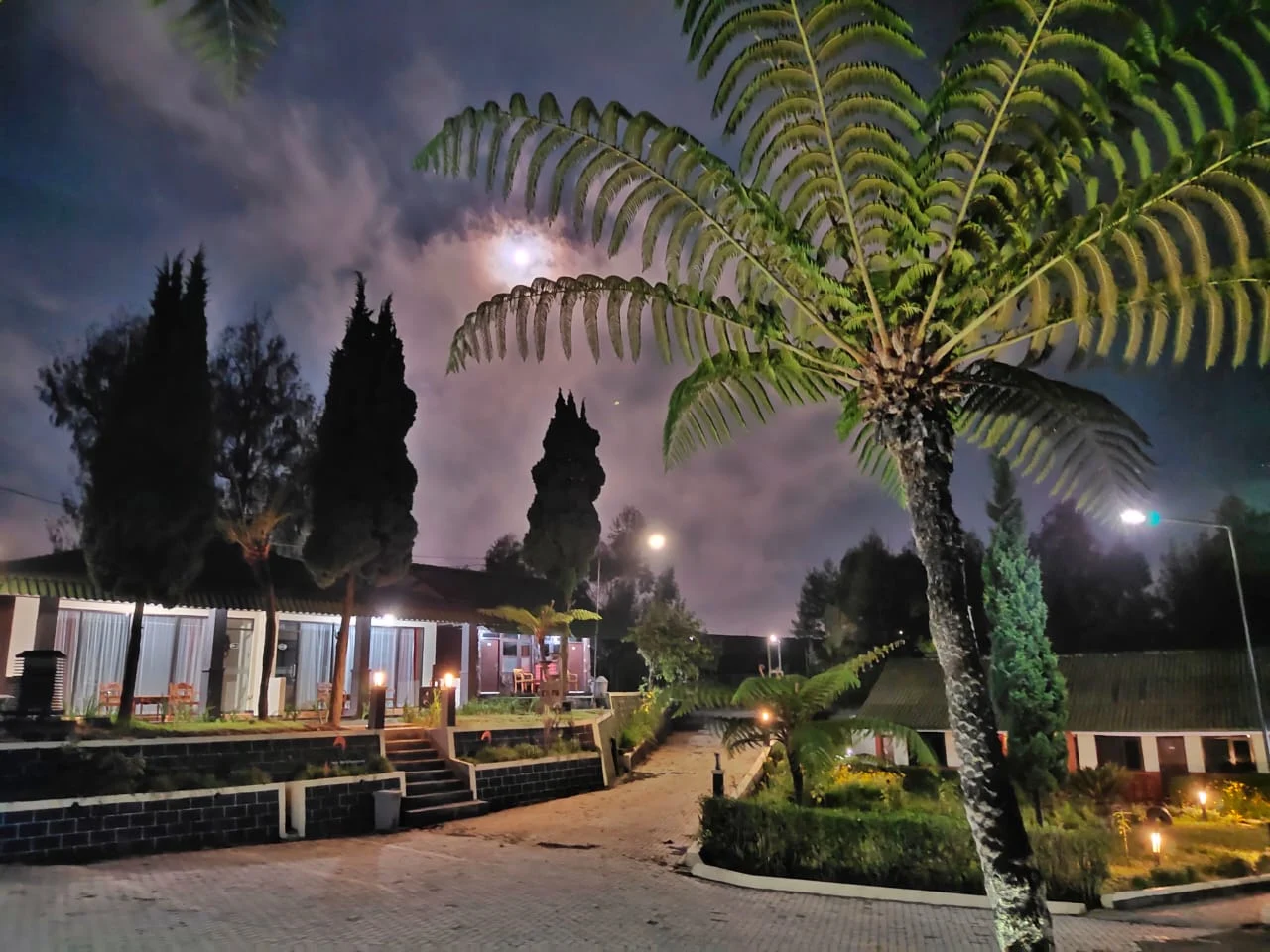 Hotel Bromo Permai 1 Cemorolawang