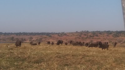 Photos of Iswiza Travel Agency