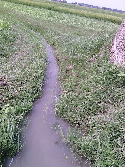 Photos of Rajrajeshwar