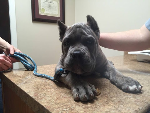 Hernando Animal Clinic - Thumbnail