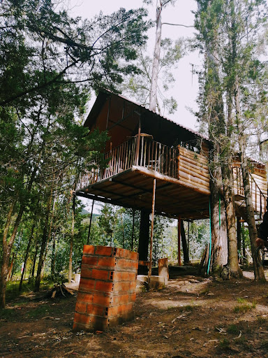 Casa en el Árbol El bosque del Molino