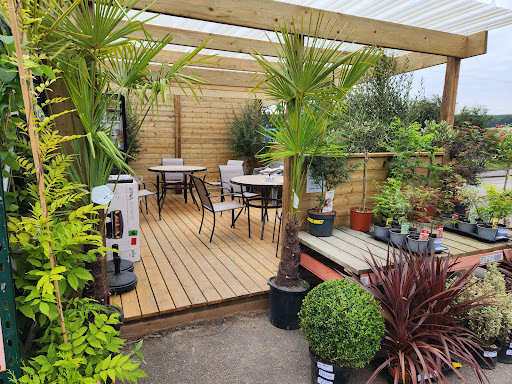 site_photo2