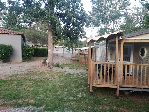 Camping Poplars