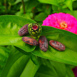 Photo n°3 de Charlotte Bourdenet - Somatothérapeute | Accompagnements psycho-corporels pour adolescents & femmes à Dijon (Praticien de médecine alternative)