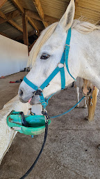 Photo n°12 de Ranch Fumat à Vias (Centre équestre)