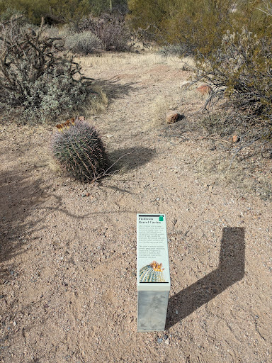 Cactus Garden Trail - Thumbnail