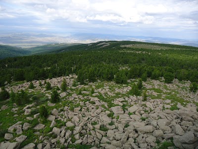 Photos of Цэцээ гүн